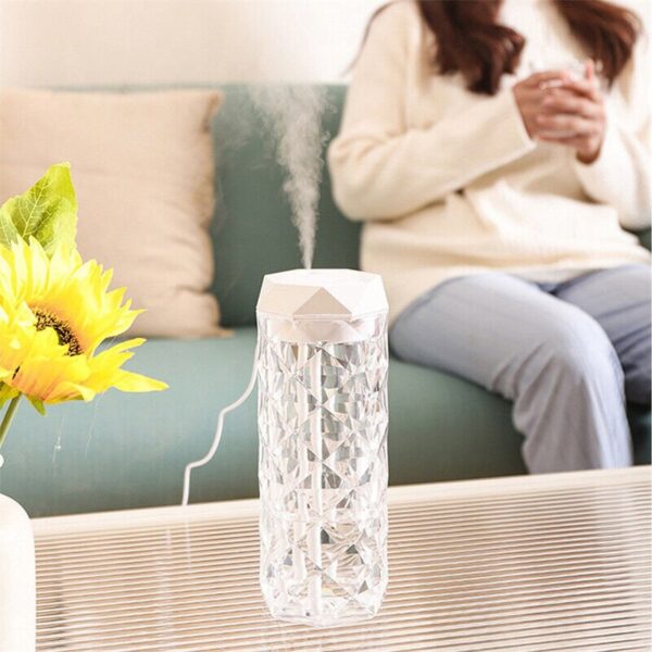 Crystal Lamp and Humidifier - Image 7